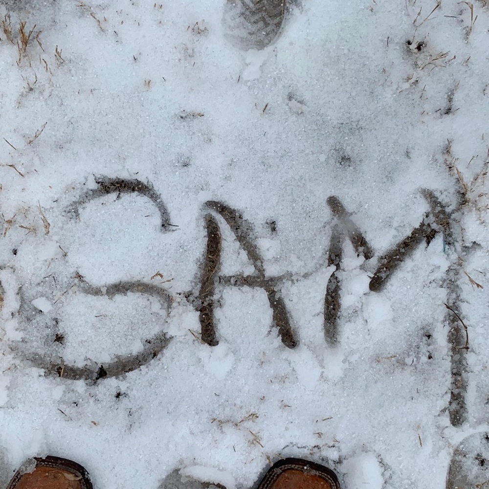 Meet your Posher, Samantha